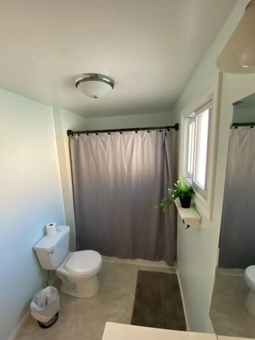 Kingston Comfort Hub Bagian luar foto